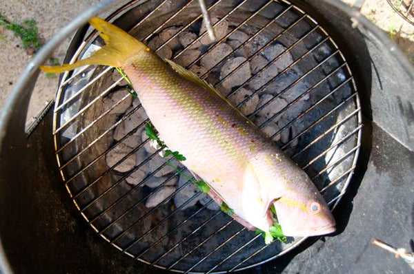Grilled Red Snapper